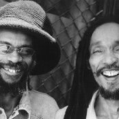 Israel Vibration - List pictures