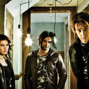 Sick Puppies - List pictures