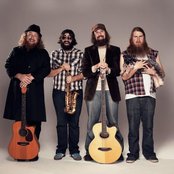 The Beards - List pictures