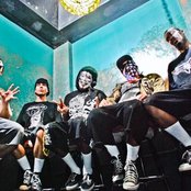 Hed Pe - List pictures