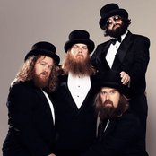 The Beards - List pictures