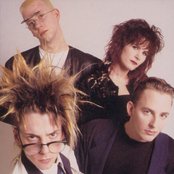 Information Society - List pictures