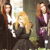 Malice Mizer - List pictures