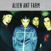 Alien Ant Farm - List pictures