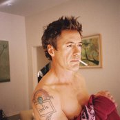 Robert Downey Jr. - List pictures