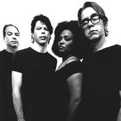 The Bellrays - List pictures