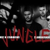 Jamie N Commons & X Ambassadors - List pictures