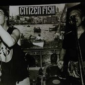 Citizen Fish - List pictures