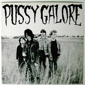 Pussy Galore - List pictures