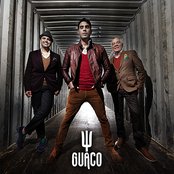 Guaco - List pictures