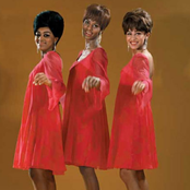 The Velvelettes - List pictures