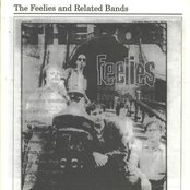 The Feelies - List pictures