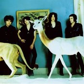 Living Things - List pictures