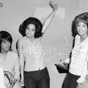 The Crystals - List pictures