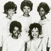 The Velvelettes - List pictures