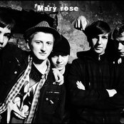 Mary Rose - List pictures