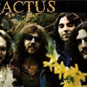 Cactus - List pictures