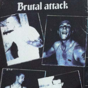 Brutal Attack - List pictures