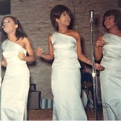 The Crystals - List pictures