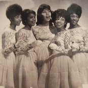 The Crystals - List pictures