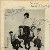 The Honeycombs - List pictures