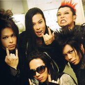 Acid Black Cherry - List pictures