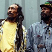 Israel Vibration - List pictures