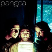 Together Pangea - List pictures