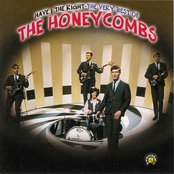 The Honeycombs - List pictures