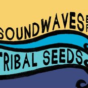 Tribal Seeds - List pictures