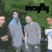 Mayfly - List pictures