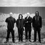 King 810 - List pictures