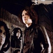 Ray Toro - List pictures