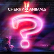 Cherry Animals - List pictures