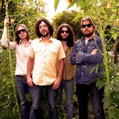 The Sheepdogs - List pictures