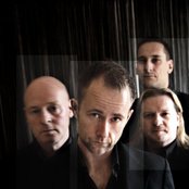 Beecake - List pictures