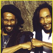 Israel Vibration - List pictures