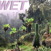 Wet - List pictures