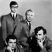 The Trashmen - List pictures