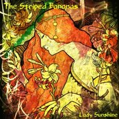 The Striped Bananas - List pictures