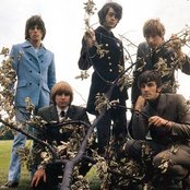 Yardbirds - List pictures