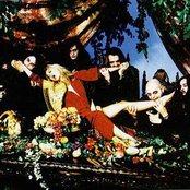 Cradle Of Filth - List pictures