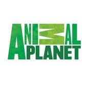 Animal Planet - List pictures