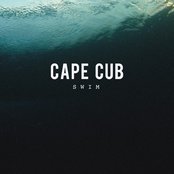 Cape Cub - List pictures