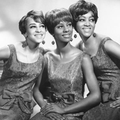 The Velvelettes - List pictures