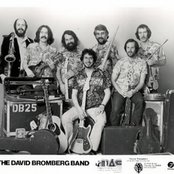 David Bromberg Band - List pictures