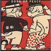 Dogs Of Peace - List pictures