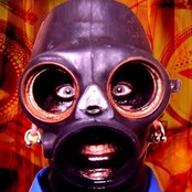 Sid Wilson - List pictures