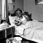 Furry Lewis - List pictures