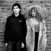 Lion Babe - List pictures